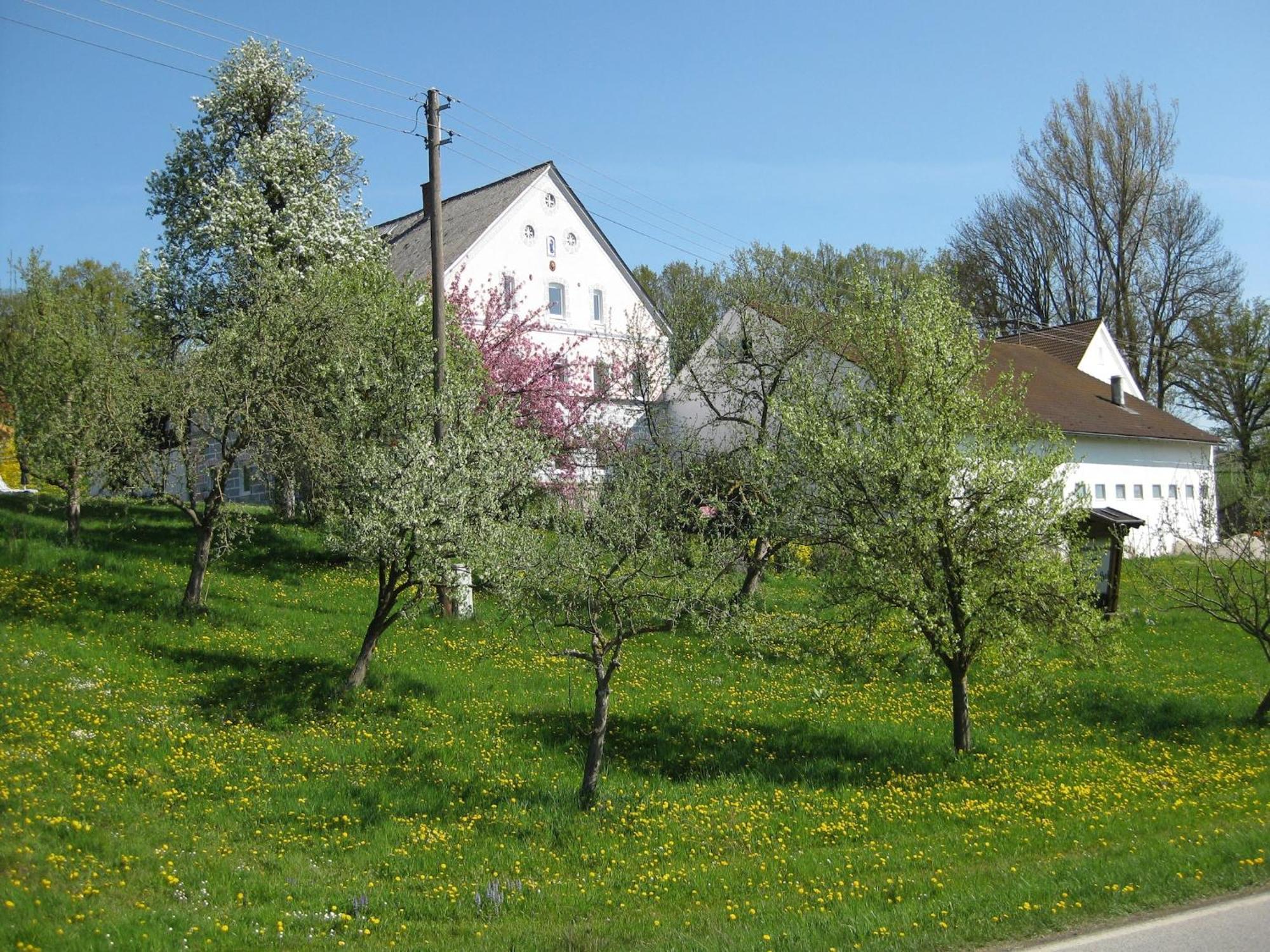 Comfortable Apartments In Rotthalm Nster Rotthalmuenster Dış mekan fotoğraf